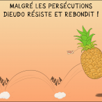 Dieudo résiste et rebondit !