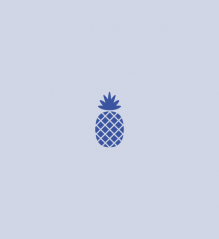 DANS LE ZÉNITH DE NANTES