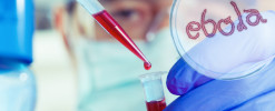Ebola : le mensonge généralisé